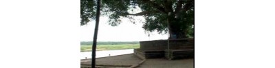 77. திருவித்துவக்கோடு 